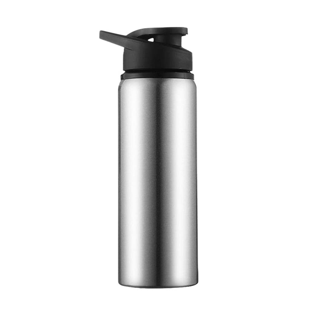700ml Portable Stainless Steel Sports Bottle