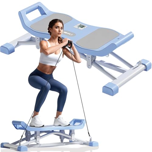 Balance Board with LCD Monitor & Resistance Bands