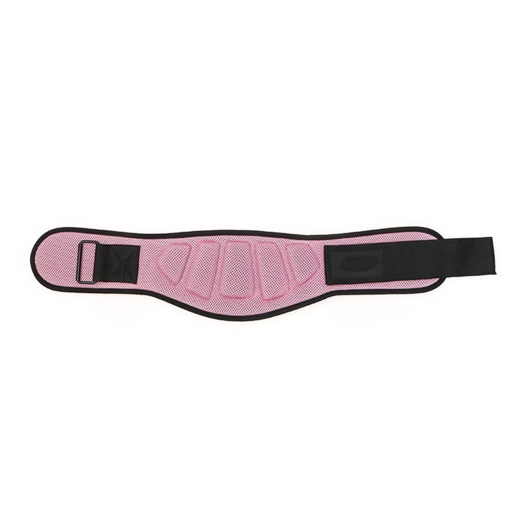 Weightlifting Training Belt with Back Support