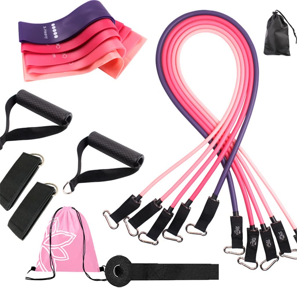 16-Piece Resistance Bands Set 150LB Training Kit